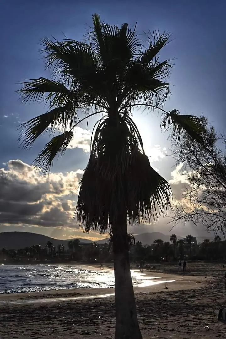 Vacances En Paradis Saint-Raphaël 公寓