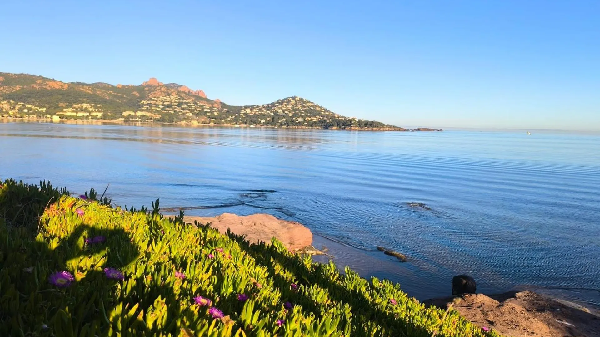 公寓 Vacances En Paradis Saint-Raphaël